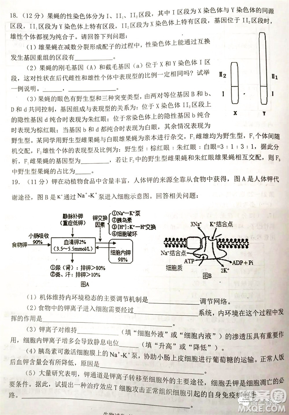 湖南2022年3月高三調(diào)研考試試卷生物學(xué)答案