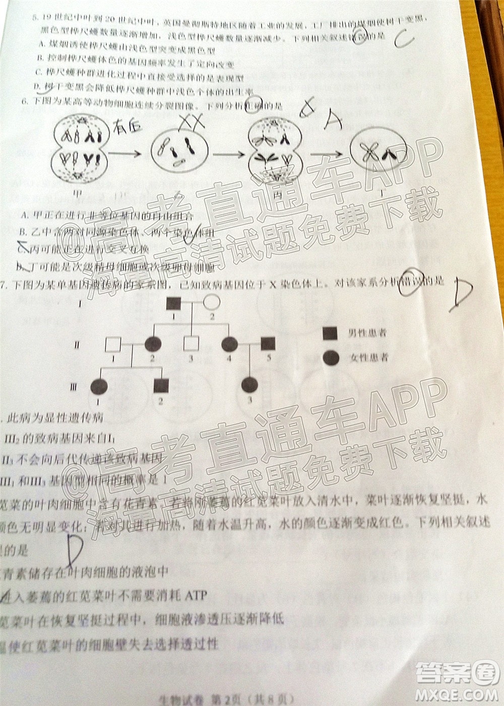 莆田市2022屆高中畢業(yè)班第二次教學質量檢測試卷生物試題及答案