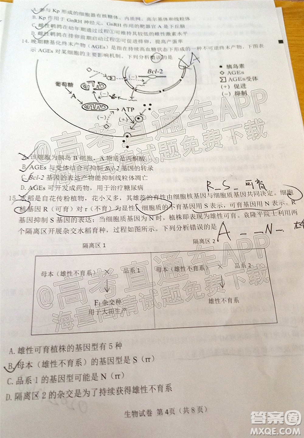 莆田市2022屆高中畢業(yè)班第二次教學質量檢測試卷生物試題及答案