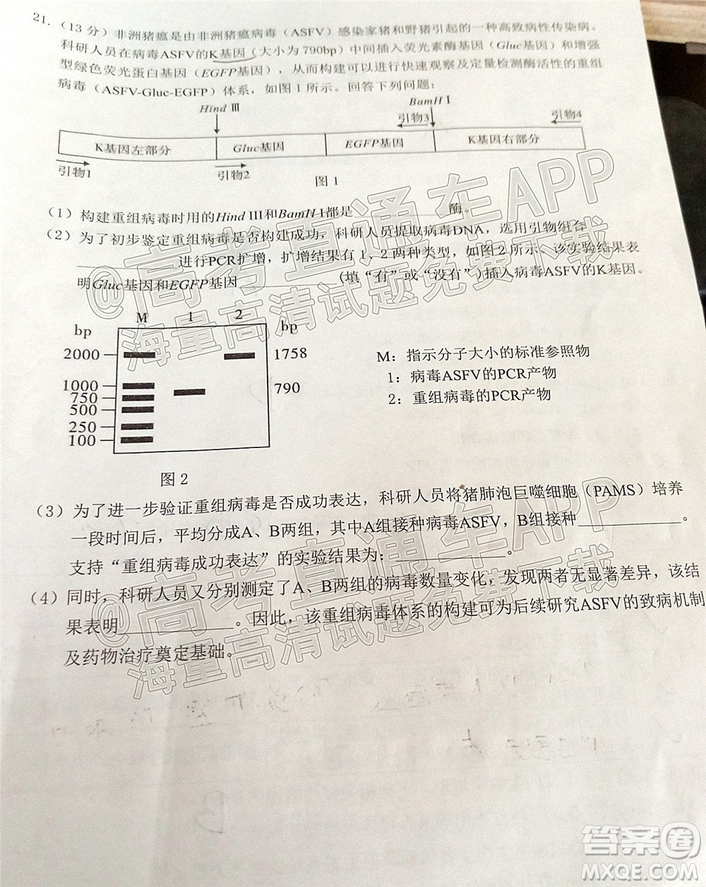 莆田市2022屆高中畢業(yè)班第二次教學質量檢測試卷生物試題及答案