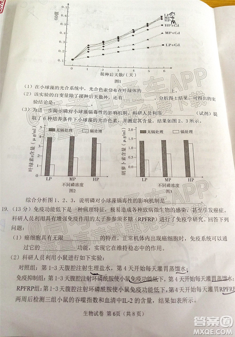 莆田市2022屆高中畢業(yè)班第二次教學質量檢測試卷生物試題及答案