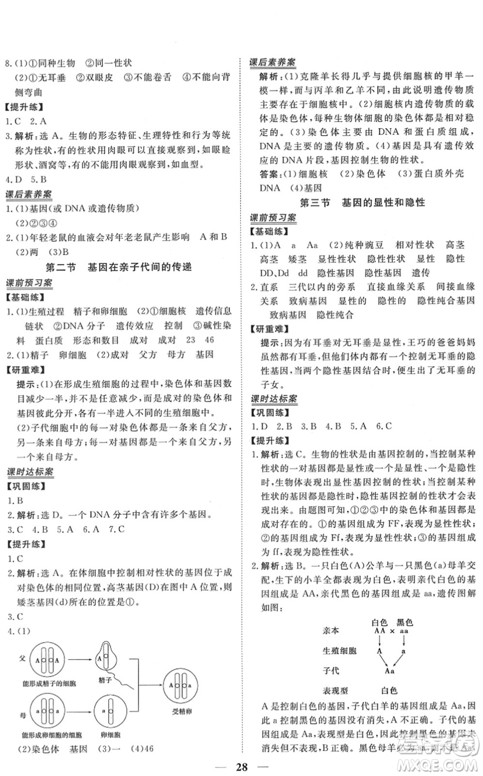 青海人民出版社2022新坐標同步練習八年級生物下冊人教版青海專用答案