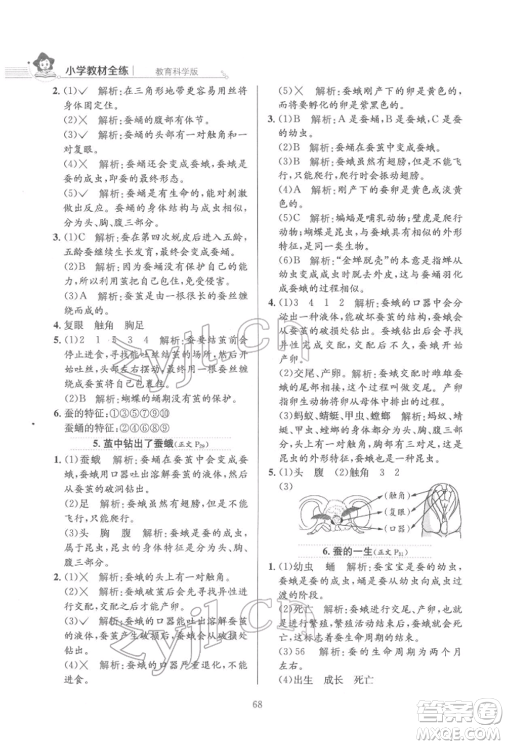 陜西人民教育出版社2022小學(xué)教材全練三年級科學(xué)下冊教育科學(xué)版參考答案