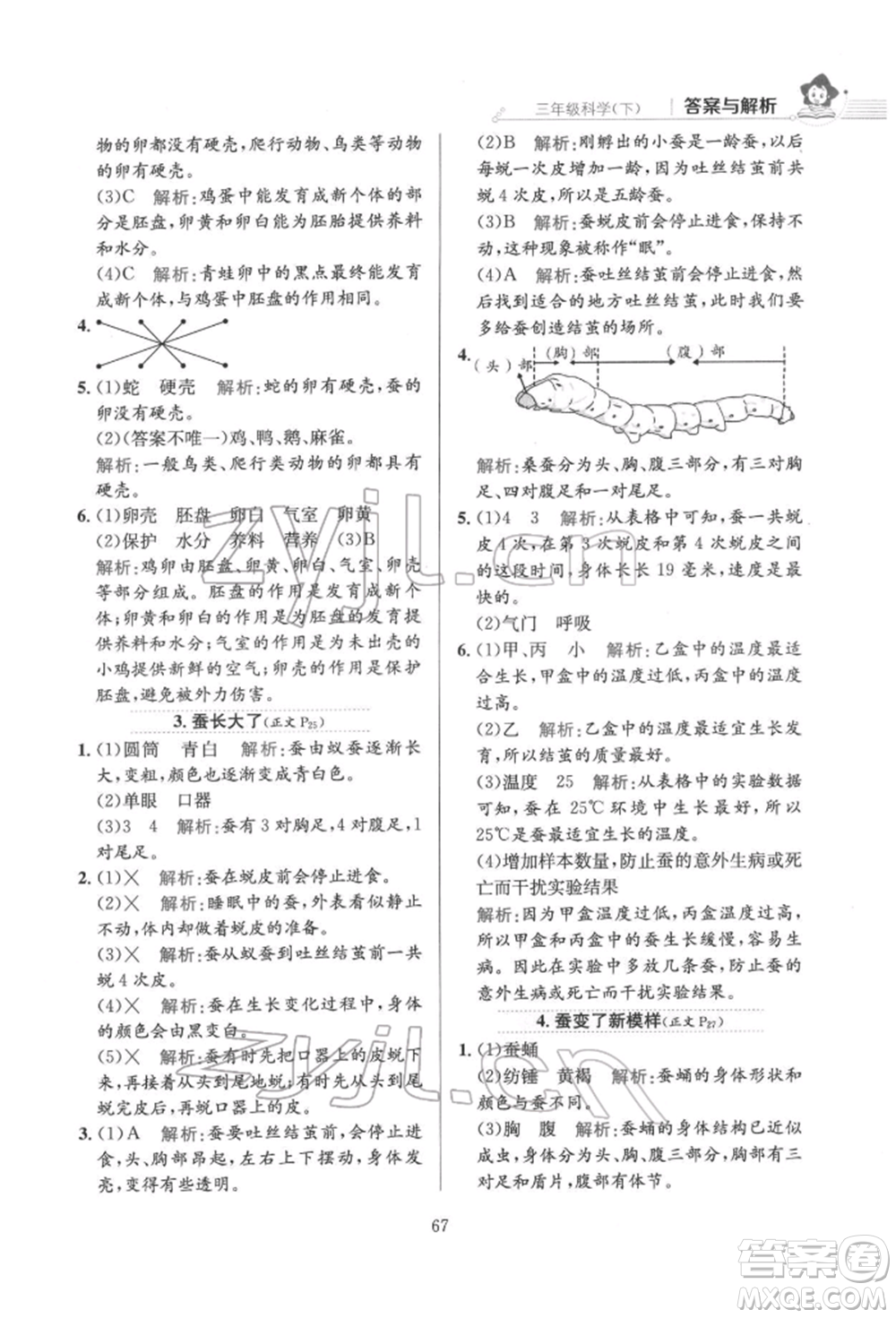 陜西人民教育出版社2022小學(xué)教材全練三年級科學(xué)下冊教育科學(xué)版參考答案