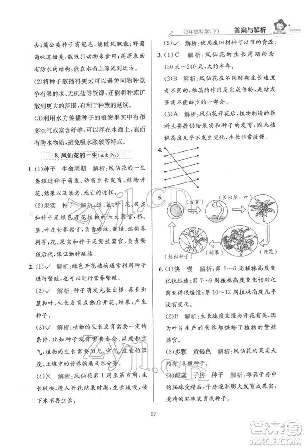 陜西人民教育出版社2022小學(xué)教材全練四年級(jí)科學(xué)下冊(cè)教育科學(xué)版參考答案