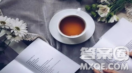 ____是最美的行囊作文600字 關于____是最美的行囊的作文600字