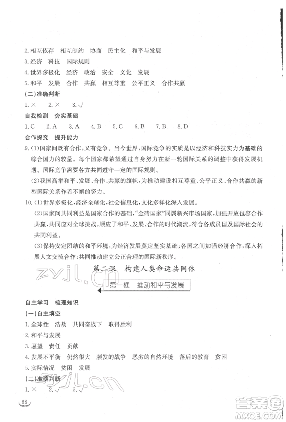 湖北教育出版社2022長江作業(yè)本同步練習冊九年級道德與法治下冊人教版參考答案