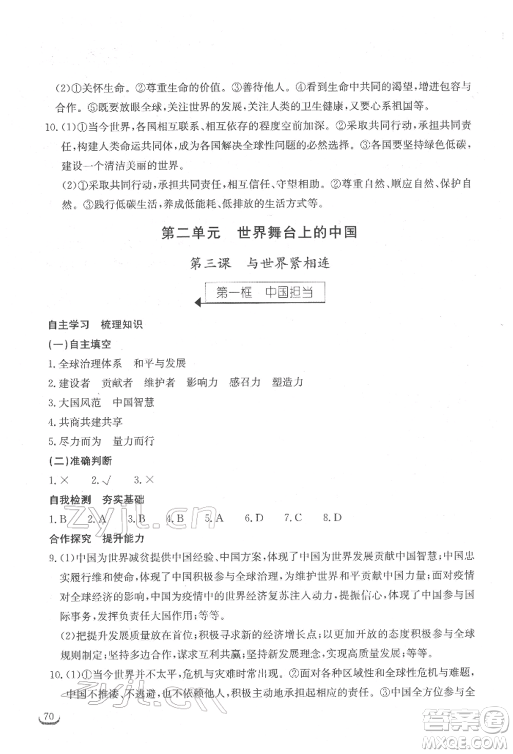 湖北教育出版社2022長江作業(yè)本同步練習冊九年級道德與法治下冊人教版參考答案