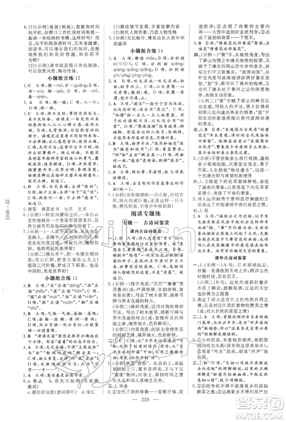 陜西人民教育出版社2022中考總復(fù)習(xí)導(dǎo)與練語(yǔ)文人教版參考答案