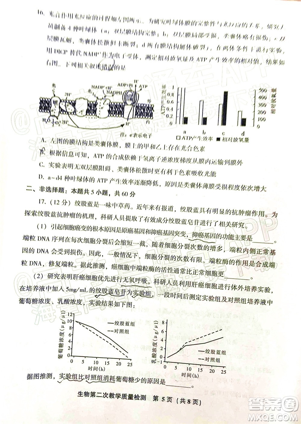 漳州市2022屆高中畢業(yè)班第二次教學(xué)質(zhì)量檢測生物試題及答案