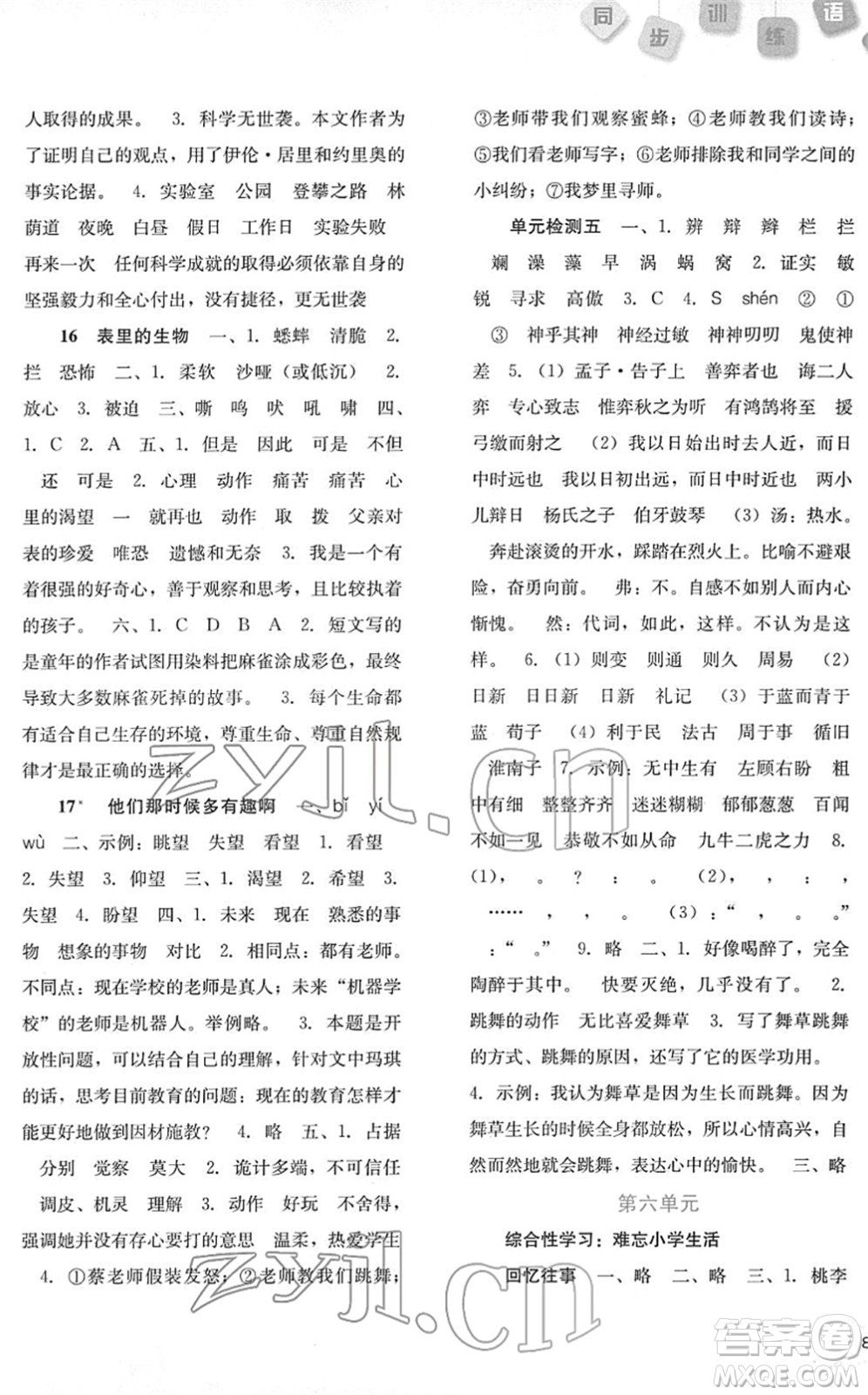 河北人民出版社2022同步訓(xùn)練六年級(jí)語(yǔ)文下冊(cè)人教版答案