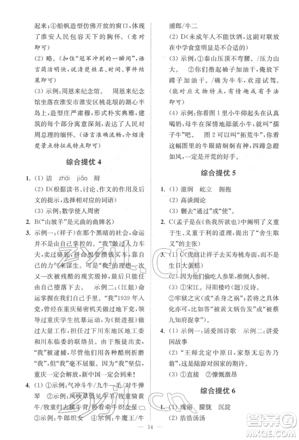 江蘇鳳凰科學(xué)技術(shù)出版社2022小題狂做中考語(yǔ)文通用版提優(yōu)版參考答案