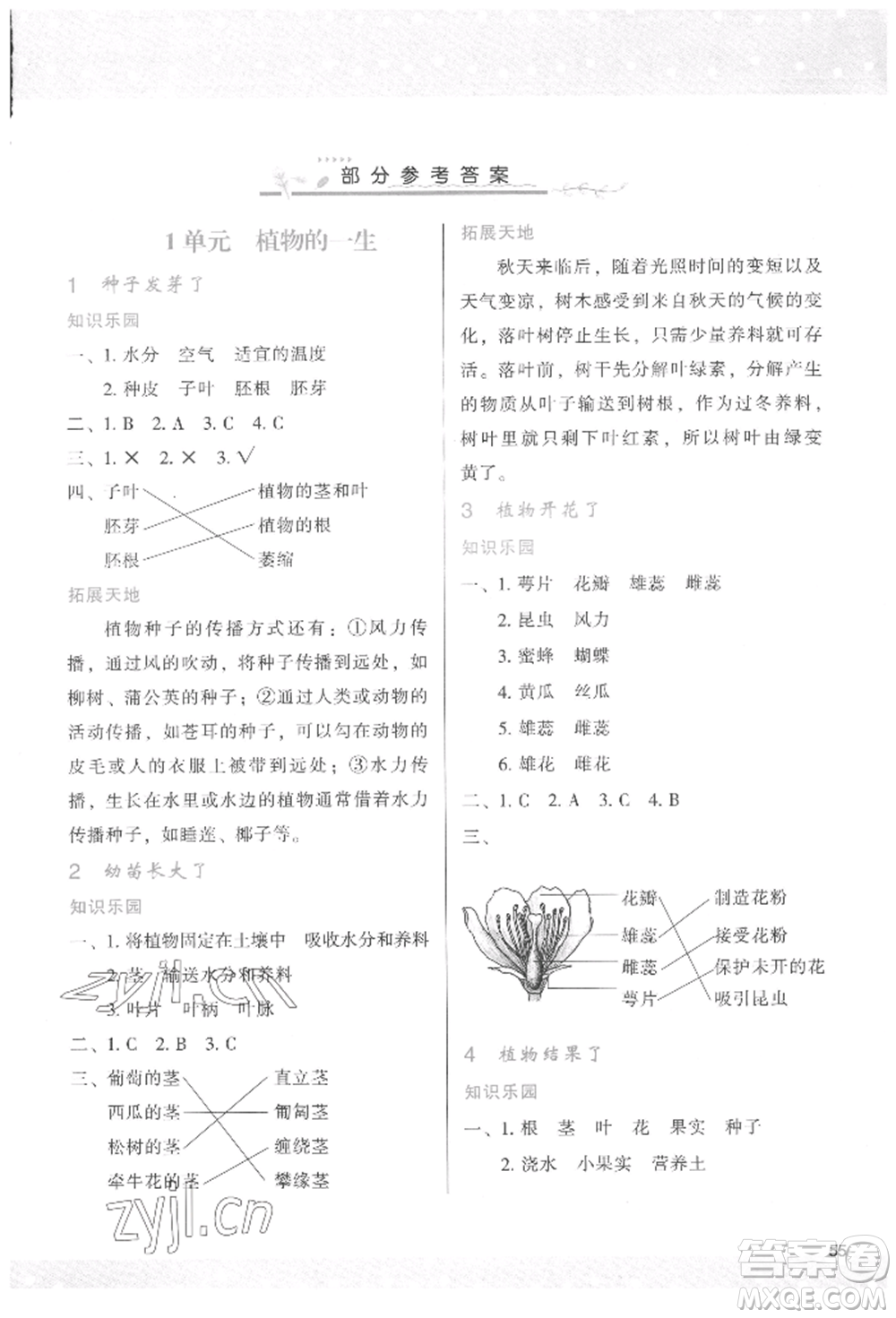 陜西人民教育出版社2022新課程學習與評價三年級科學下冊蘇教版參考答案