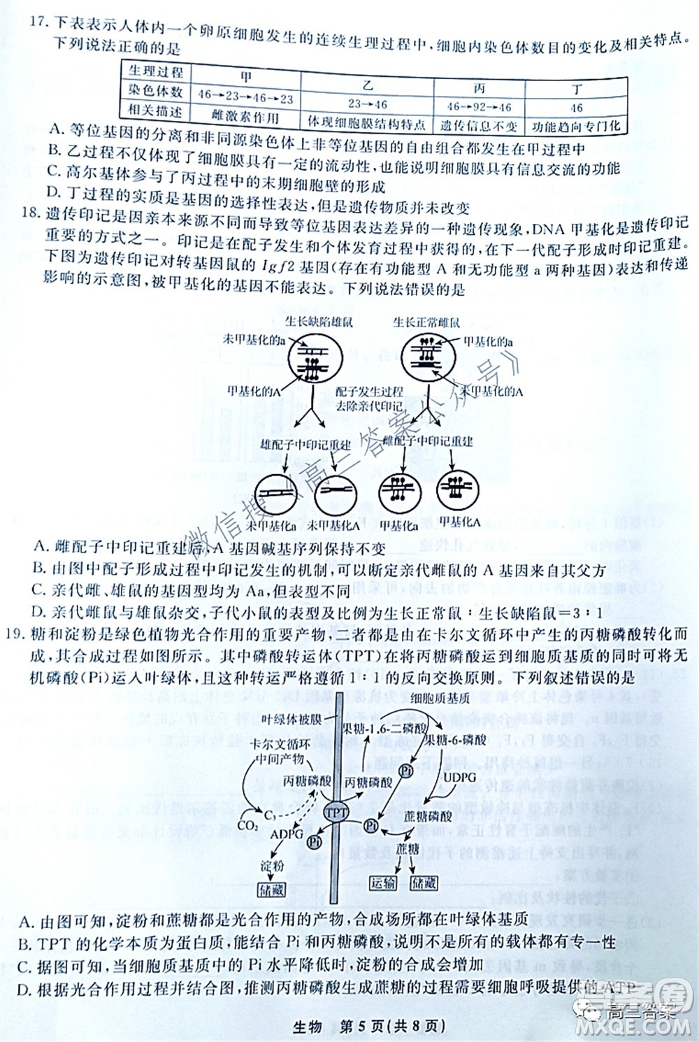 遼寧縣級(jí)重點(diǎn)高中協(xié)作體2022屆高三一?？荚嚿镌囶}及答案