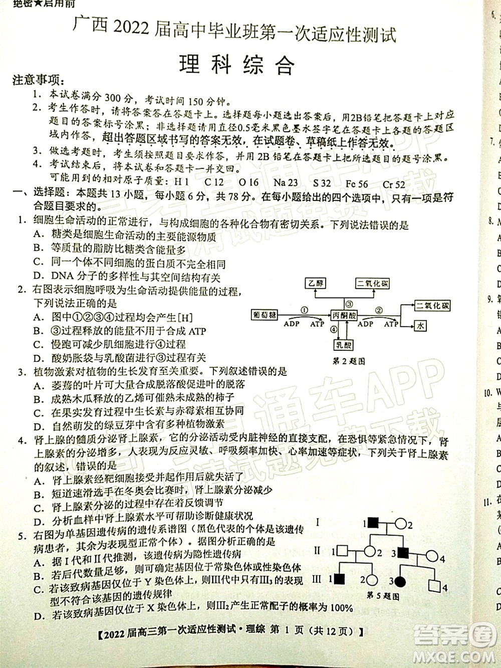 廣西2022屆高中畢業(yè)班第一次適應(yīng)性測(cè)試?yán)砜凭C合試題及答案