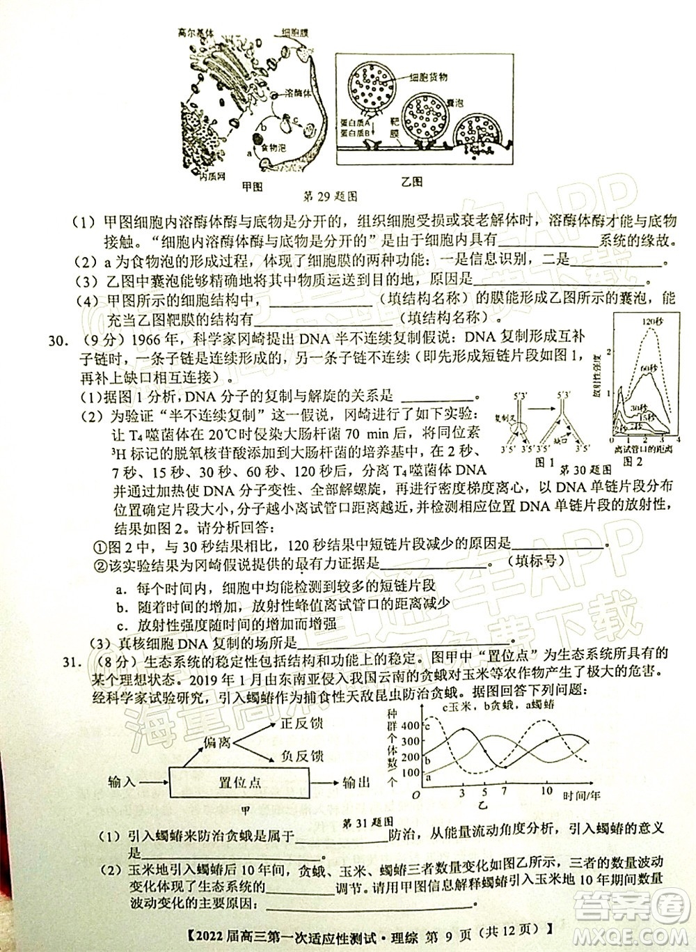 廣西2022屆高中畢業(yè)班第一次適應(yīng)性測(cè)試?yán)砜凭C合試題及答案