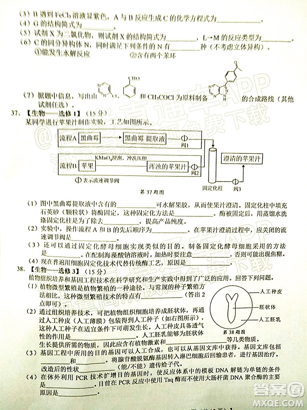 廣西2022屆高中畢業(yè)班第一次適應(yīng)性測(cè)試?yán)砜凭C合試題及答案