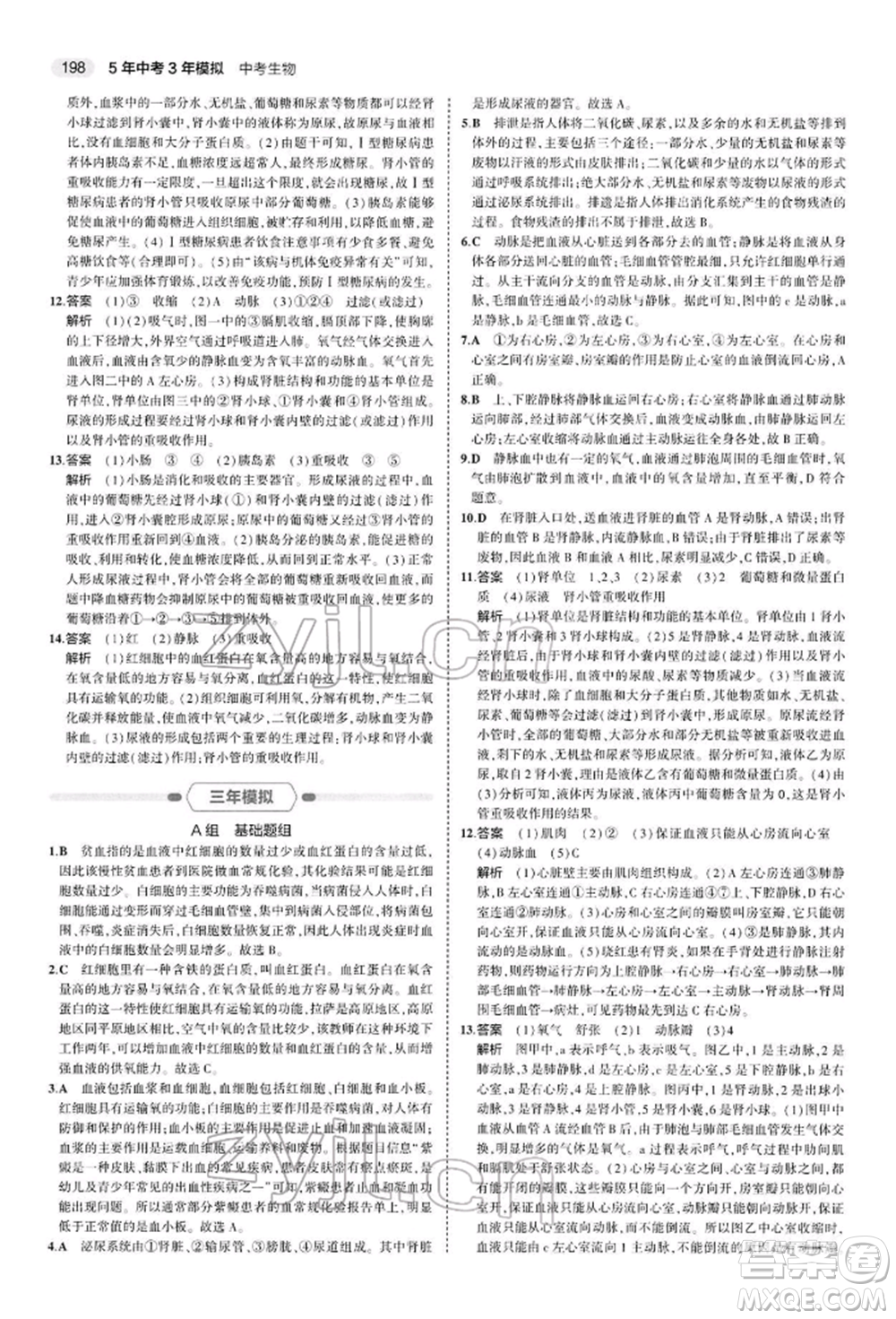 首都師范大學(xué)出版社2022年5年中考3年模擬中考生物人教版參考答案