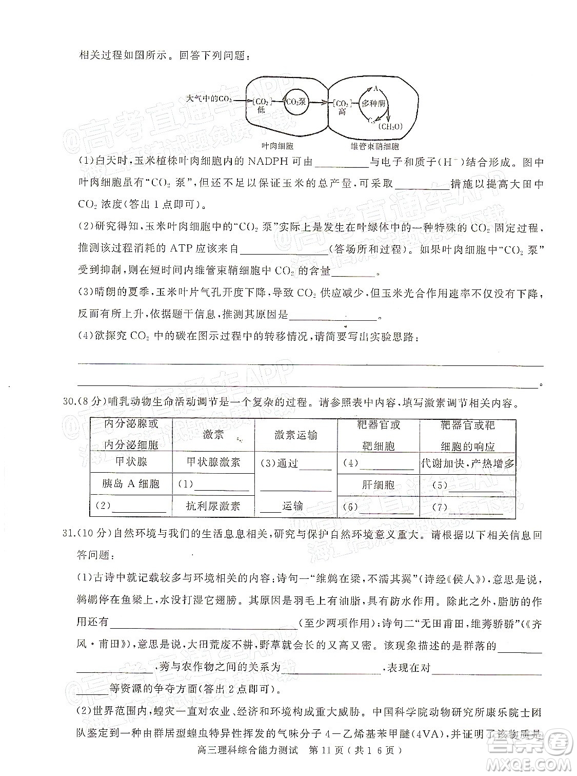 2022年河南省六市高三第一次聯(lián)合調(diào)研檢測(cè)理科綜合試題及答案