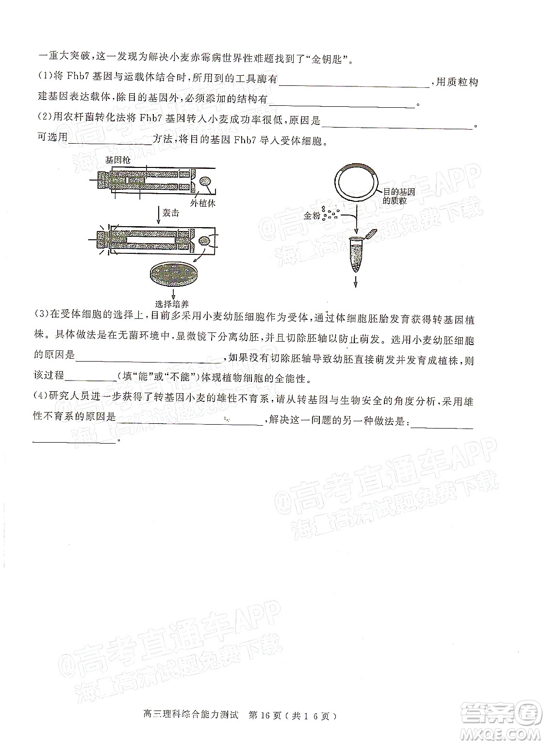 2022年河南省六市高三第一次聯(lián)合調(diào)研檢測(cè)理科綜合試題及答案