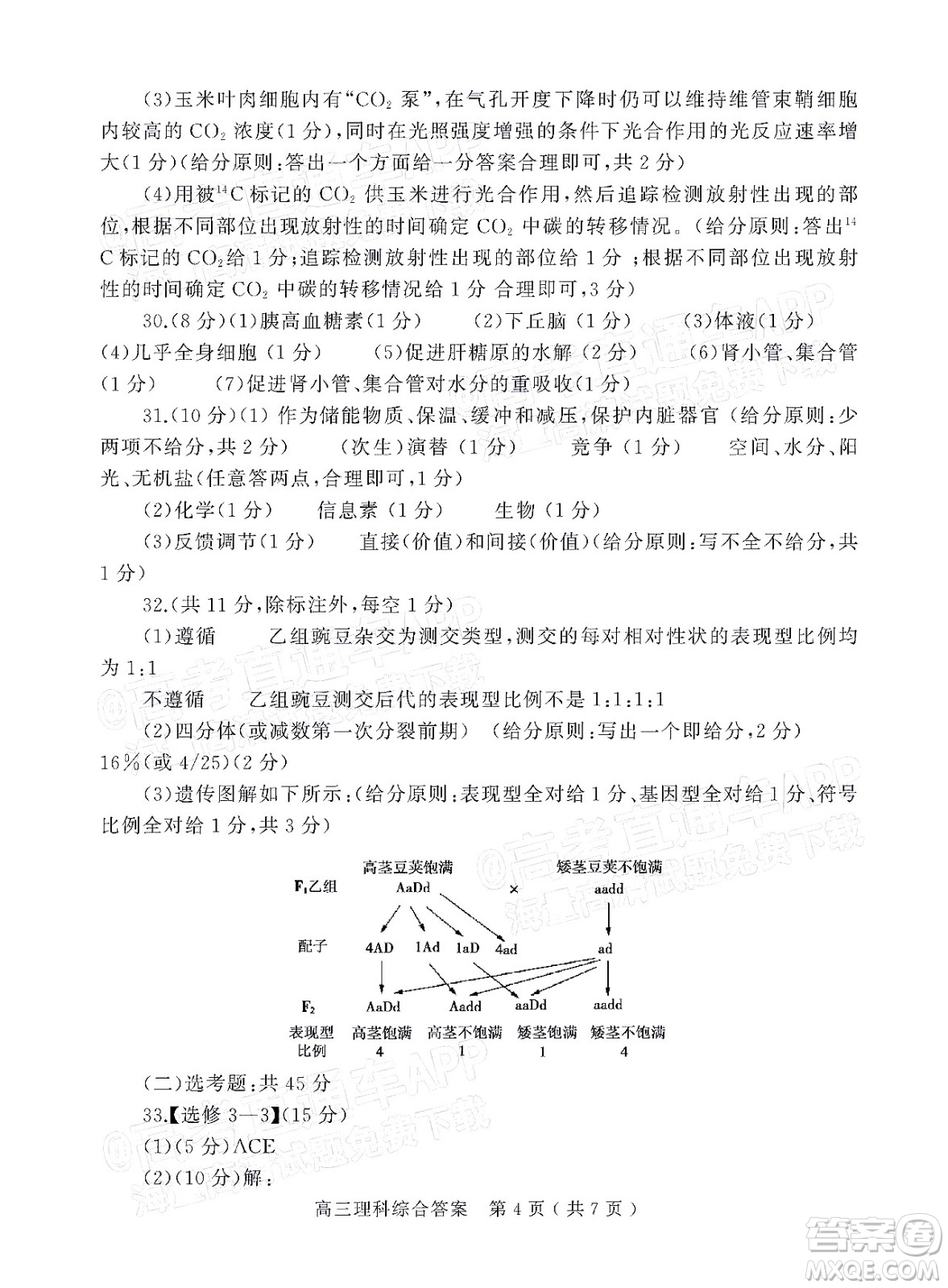 2022年河南省六市高三第一次聯(lián)合調(diào)研檢測(cè)理科綜合試題及答案