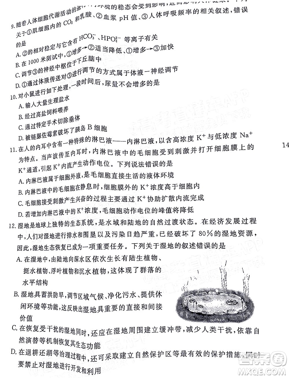 湛江市2022年普通高考測(cè)試一生物試題及答案