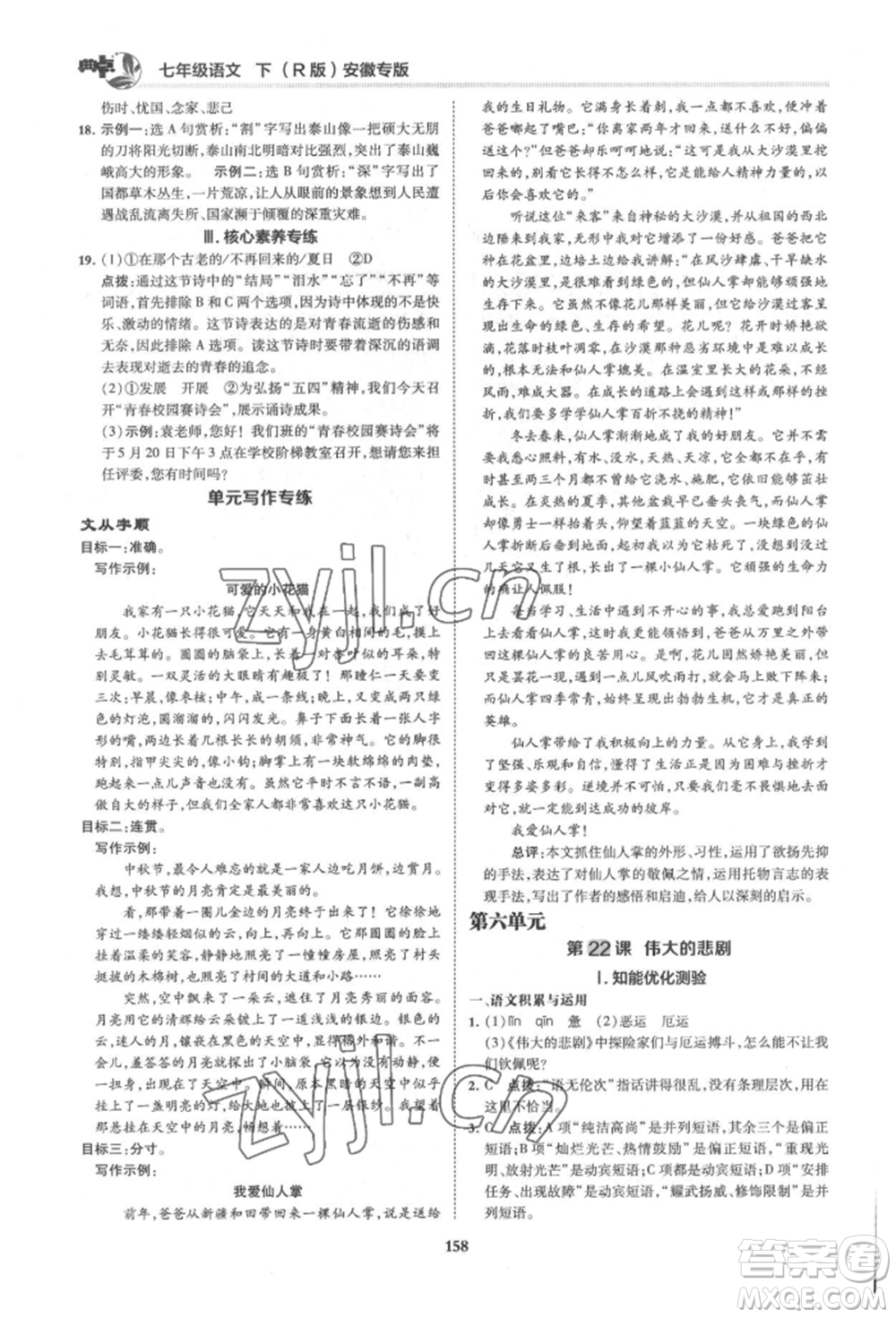 吉林教育出版社2022典中點(diǎn)綜合應(yīng)用創(chuàng)新題七年級(jí)語文下冊人教版安徽專版參考答案