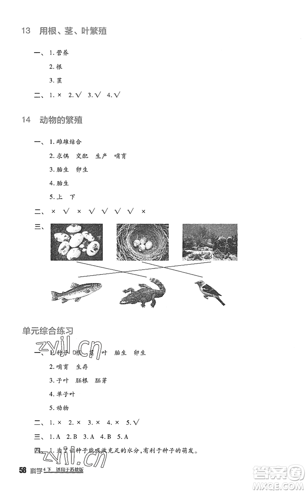 四川教育出版社2022新課標(biāo)小學(xué)生學(xué)習(xí)實踐園地四年級科學(xué)下冊蘇教版答案