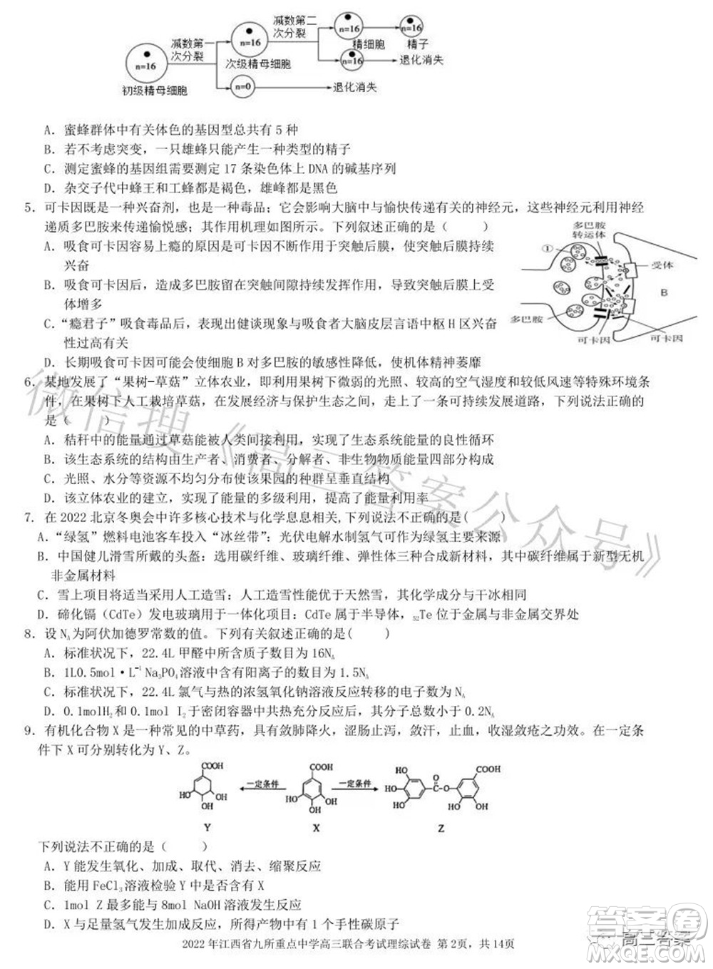 2022年江西省九校高三聯(lián)合考試?yán)砜凭C合試題及答案