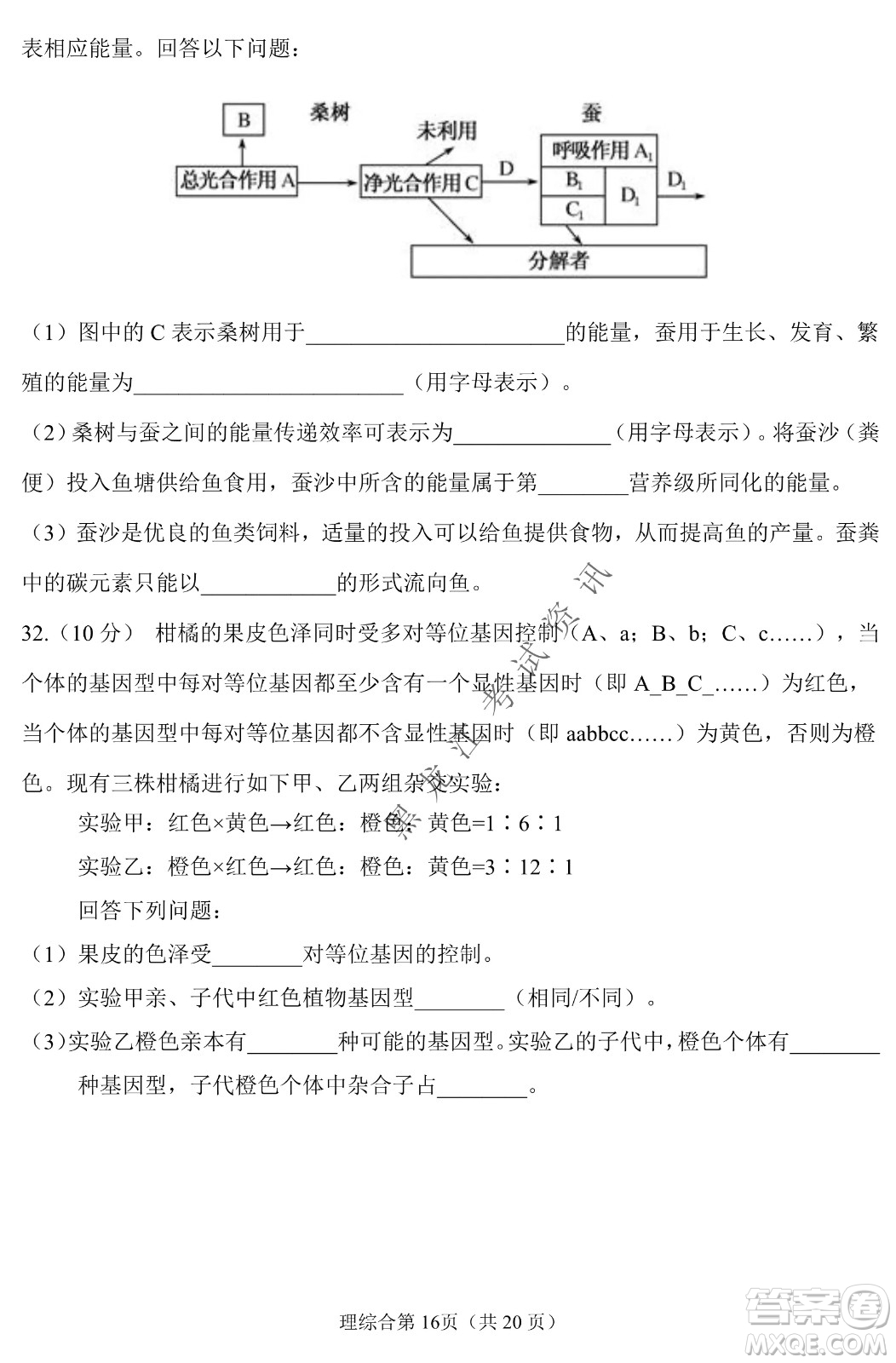 長(zhǎng)春外國(guó)語(yǔ)學(xué)校2021-2022學(xué)年高三年級(jí)下學(xué)期開(kāi)學(xué)測(cè)試?yán)砭C試卷及答案