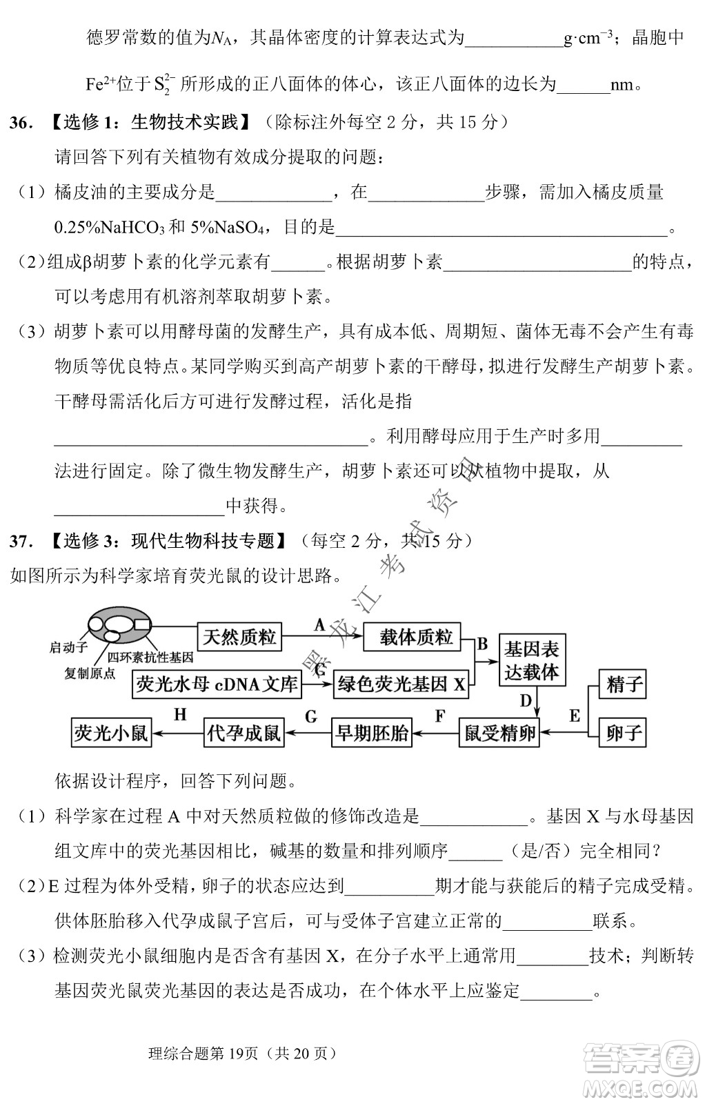 長(zhǎng)春外國(guó)語(yǔ)學(xué)校2021-2022學(xué)年高三年級(jí)下學(xué)期開(kāi)學(xué)測(cè)試?yán)砭C試卷及答案