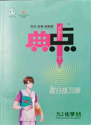 陜西人民教育出版社2022典中點綜合應(yīng)用創(chuàng)新題九年級化學(xué)下冊人教版參考答案