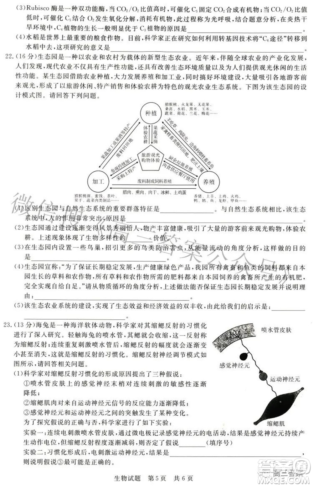 2022屆高三第二次T8聯(lián)考生物試題及答案