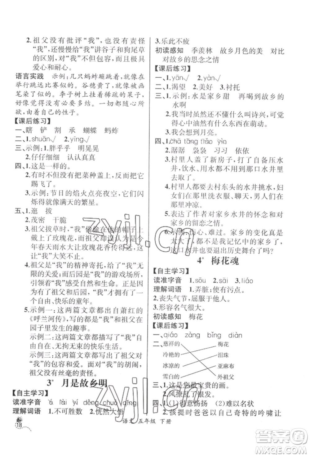 云南科技出版社2022同步解析與測評五年級下冊語文人教版云南專版參考答案