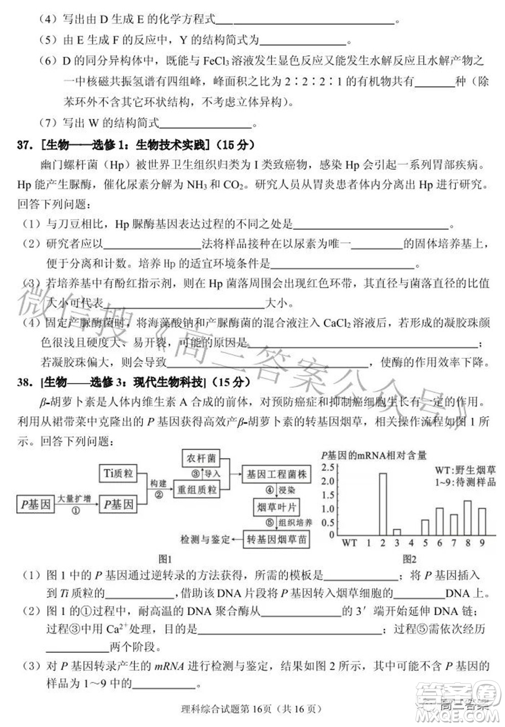 2022年安慶市高考模擬試題二模理科綜合試題及答案