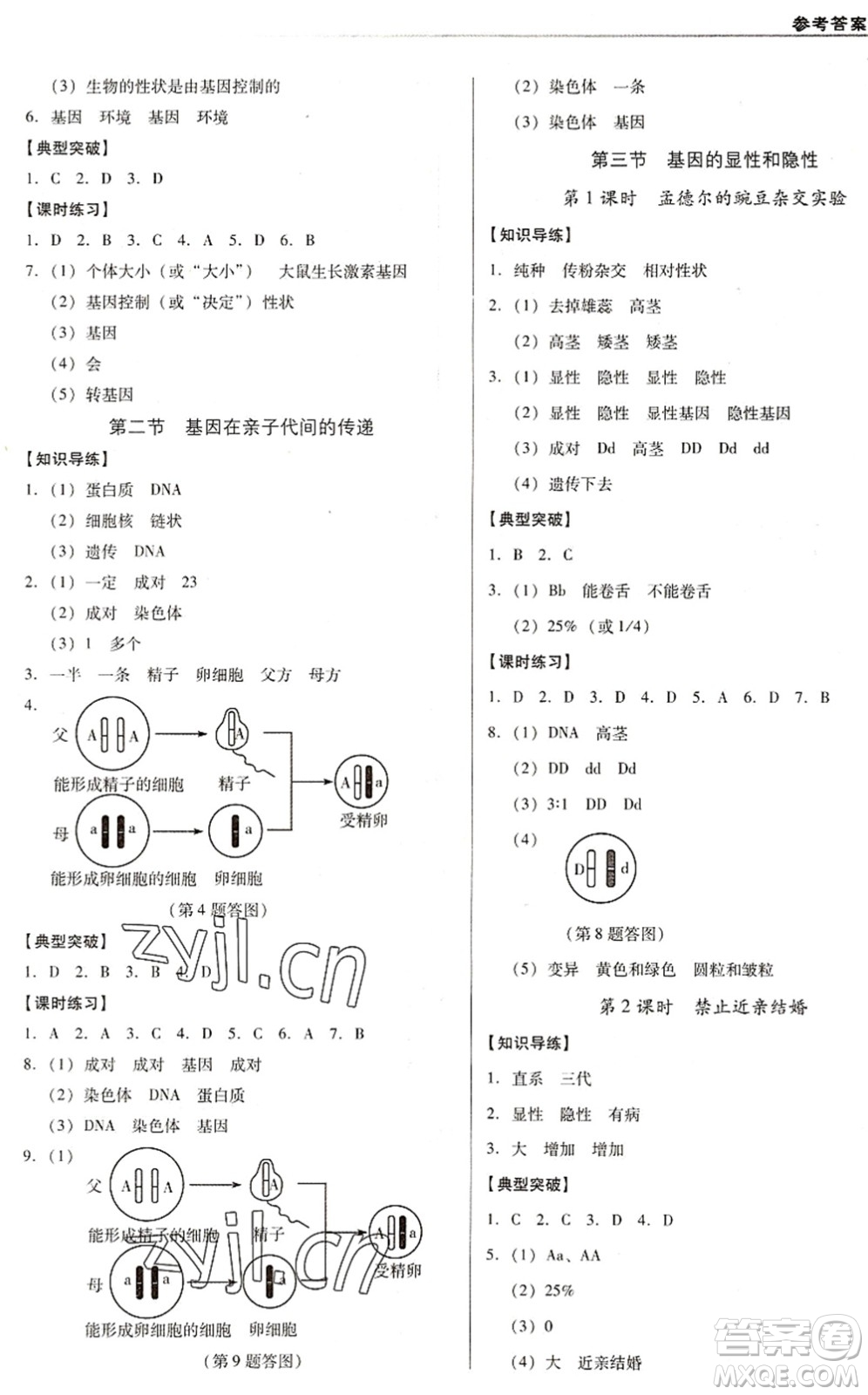 遼海出版社2022全優(yōu)點練課計劃八年級生物下冊RJ人教版答案