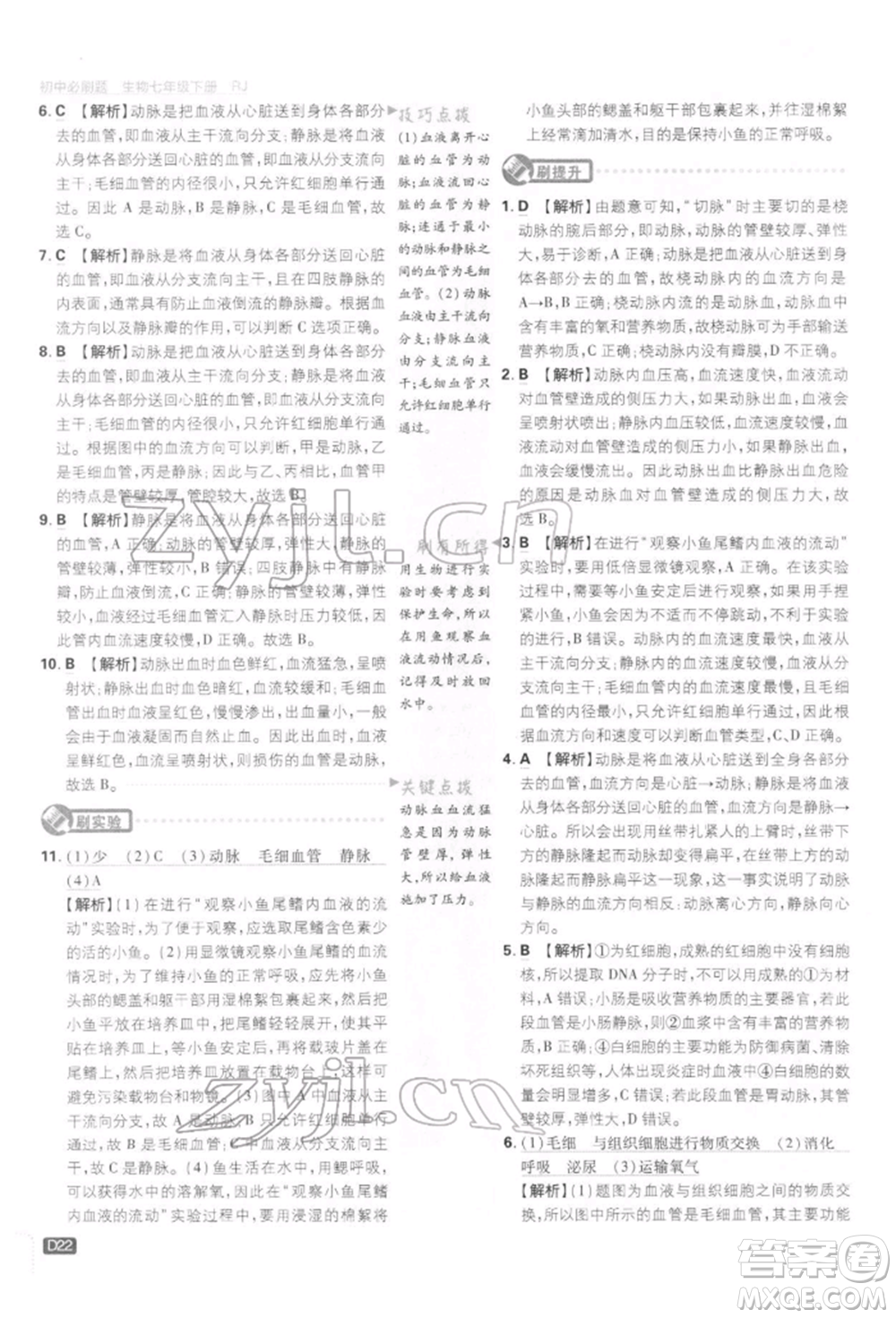 開明出版社2022初中必刷題七年級生物下冊人教版參考答案