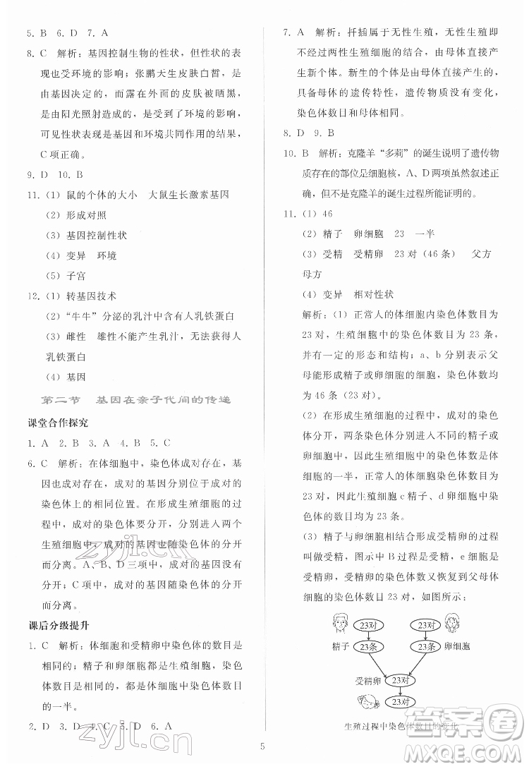 人民教育出版社2022同步輕松練習(xí)生物學(xué)八年級下冊人教版答案