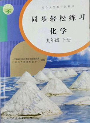 人民教育出版社2022同步輕松練習(xí)化學(xué)九年級下冊人教版答案