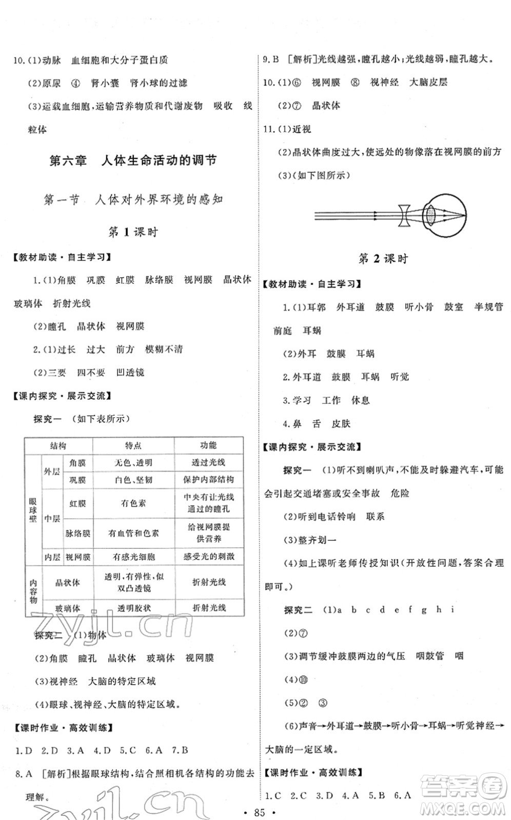 人民教育出版社2022能力培養(yǎng)與測(cè)試七年級(jí)生物下冊(cè)人教版答案