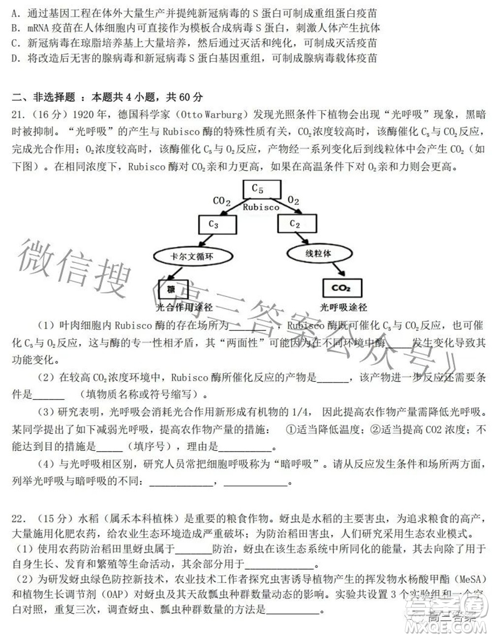 2022屆高三湖北十一校第二次聯(lián)考生物試題及答案