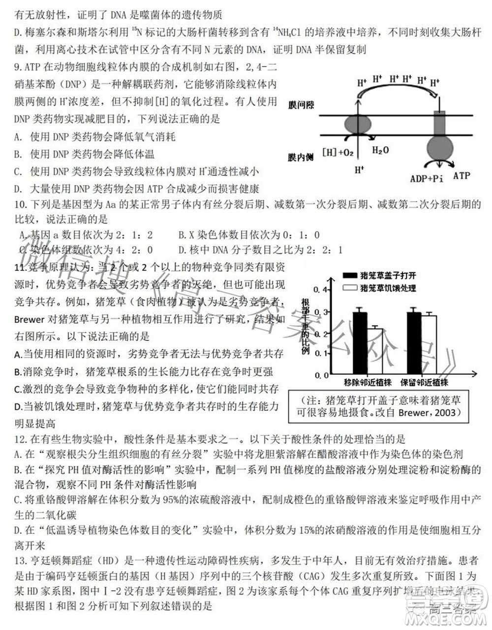 2022屆高三湖北十一校第二次聯(lián)考生物試題及答案