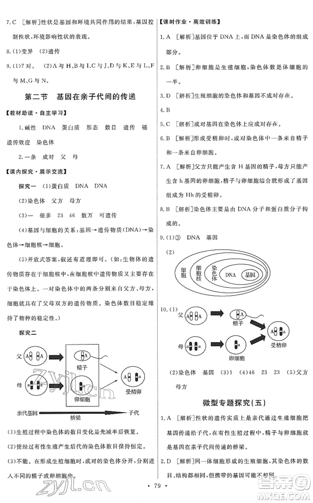 人民教育出版社2022能力培養(yǎng)與測(cè)試八年級(jí)生物下冊(cè)人教版答案