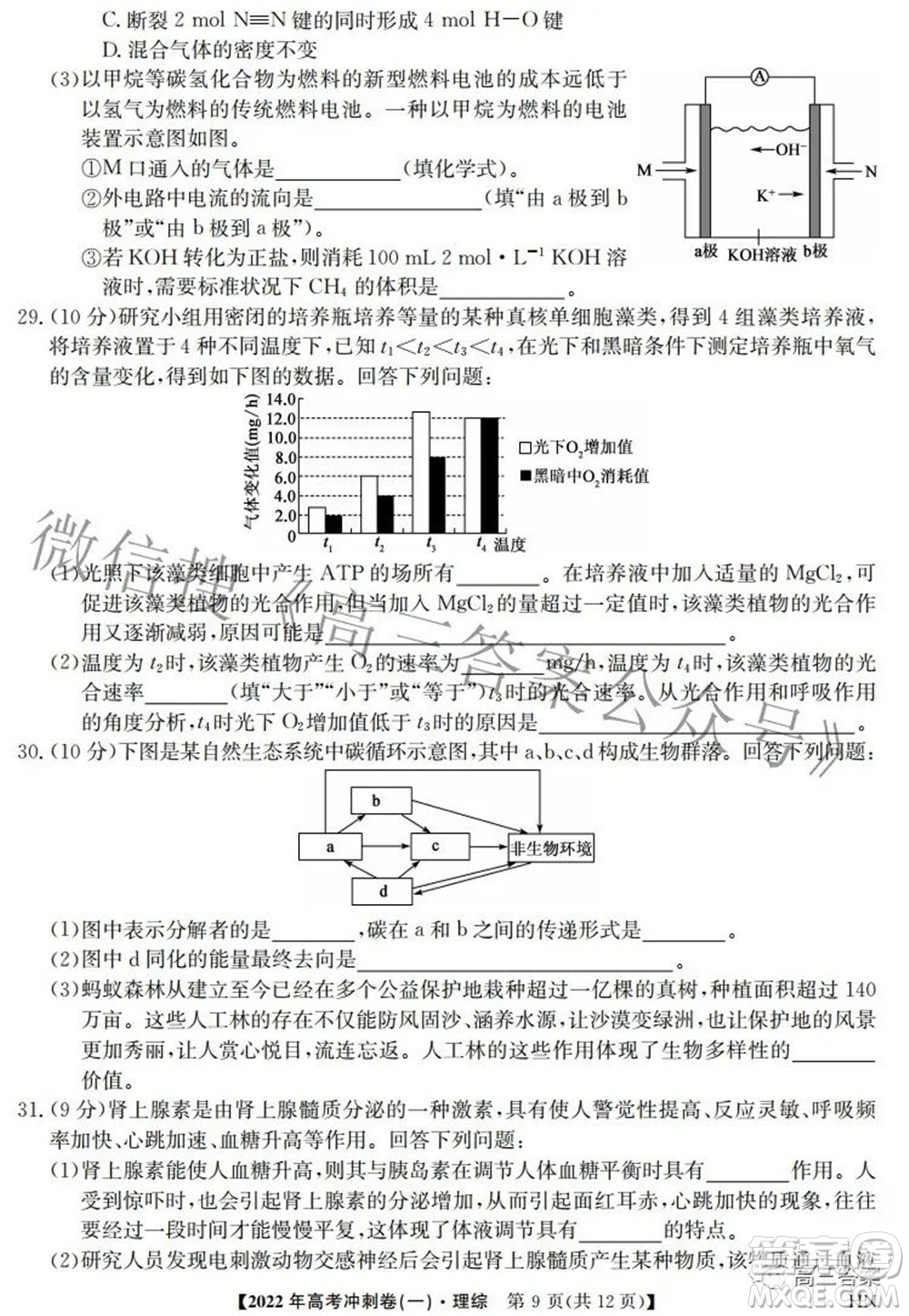 2022年高考沖刺卷一理科綜合試題及答案