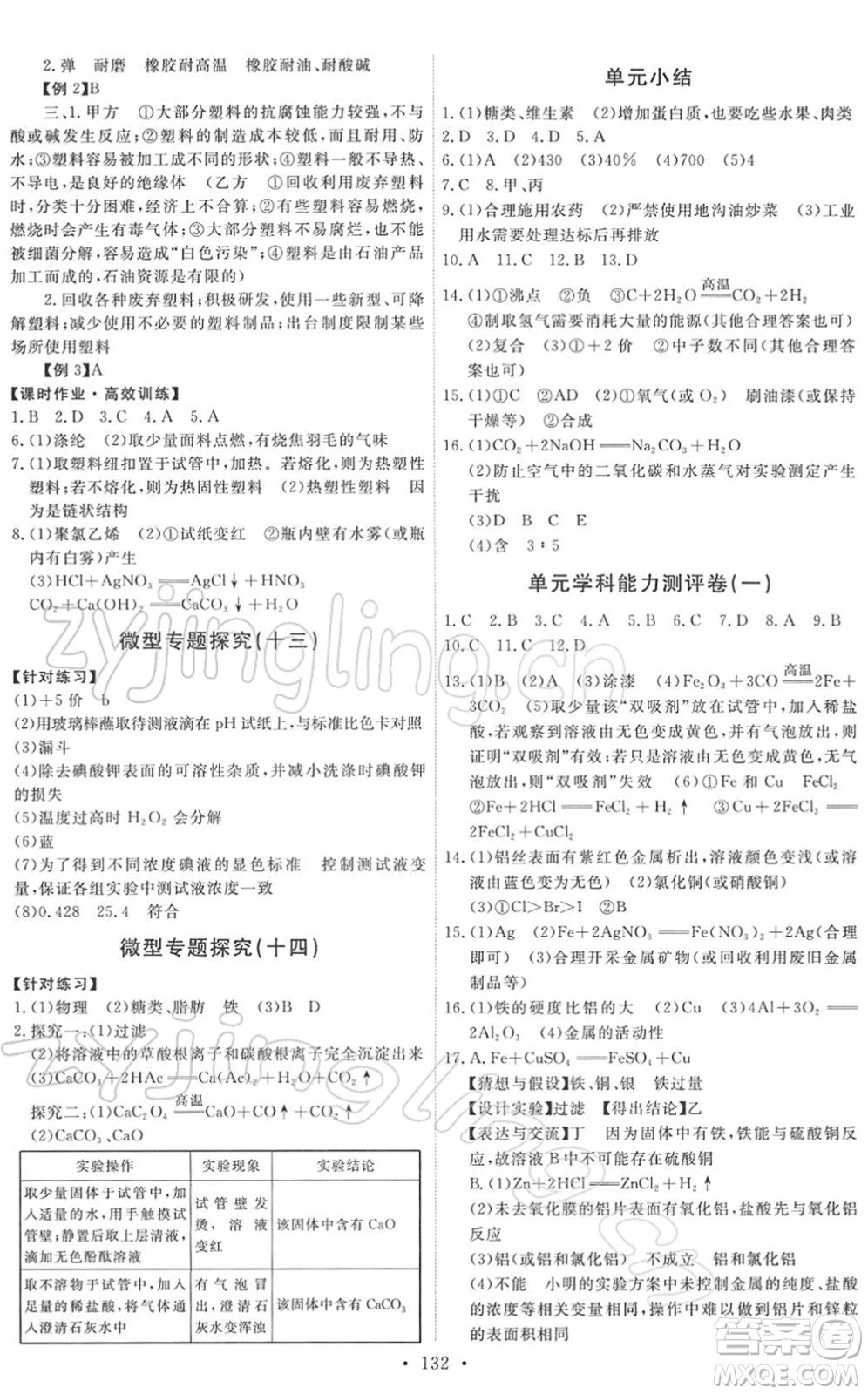 人民教育出版社2022能力培養(yǎng)與測試九年級化學(xué)下冊人教版答案