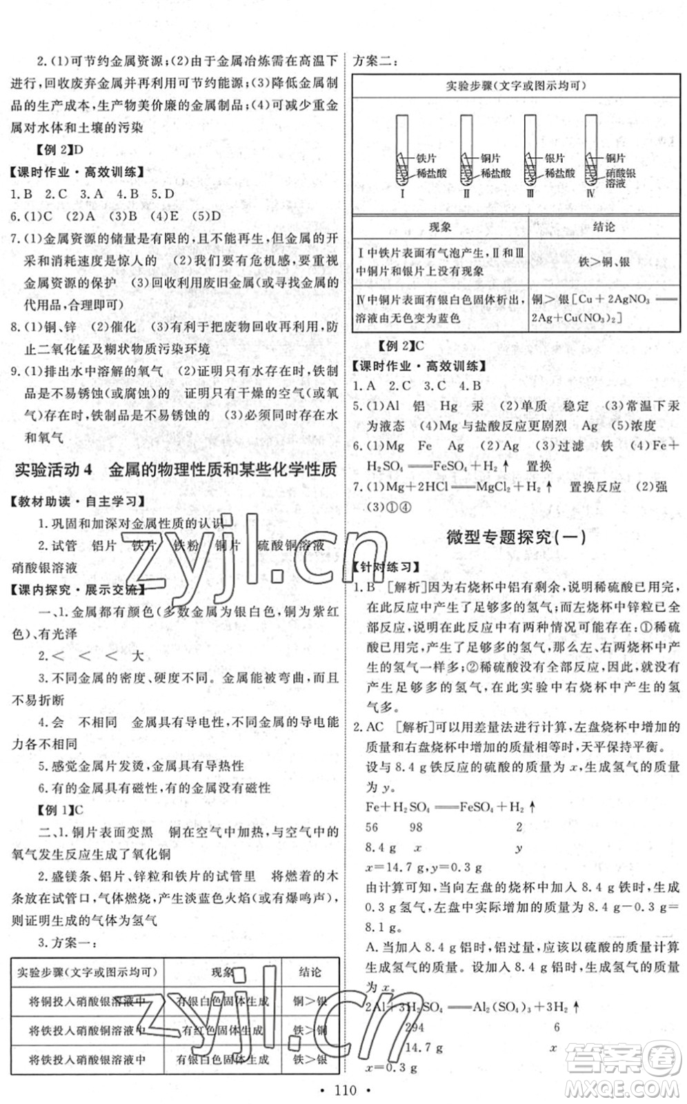 人民教育出版社2022能力培養(yǎng)與測試九年級化學下冊人教版湖南專版答案