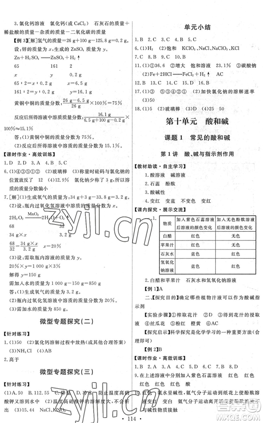 人民教育出版社2022能力培養(yǎng)與測試九年級化學下冊人教版湖南專版答案