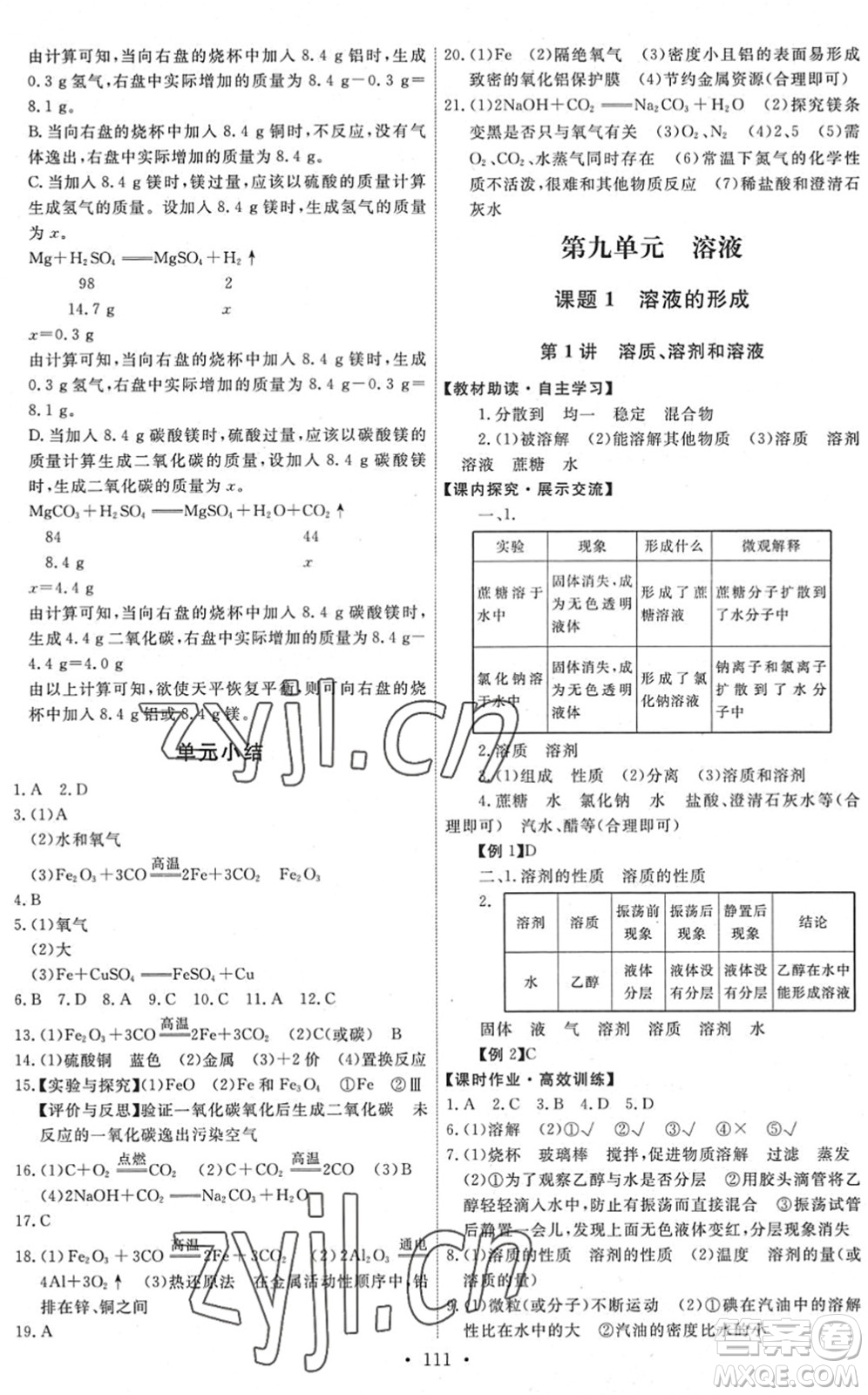 人民教育出版社2022能力培養(yǎng)與測試九年級化學下冊人教版湖南專版答案