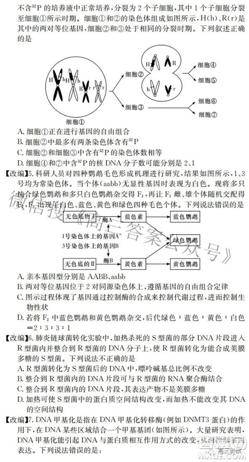 2022屆高三湖南四大名校名師團(tuán)隊(duì)周模卷1生物試題及答案