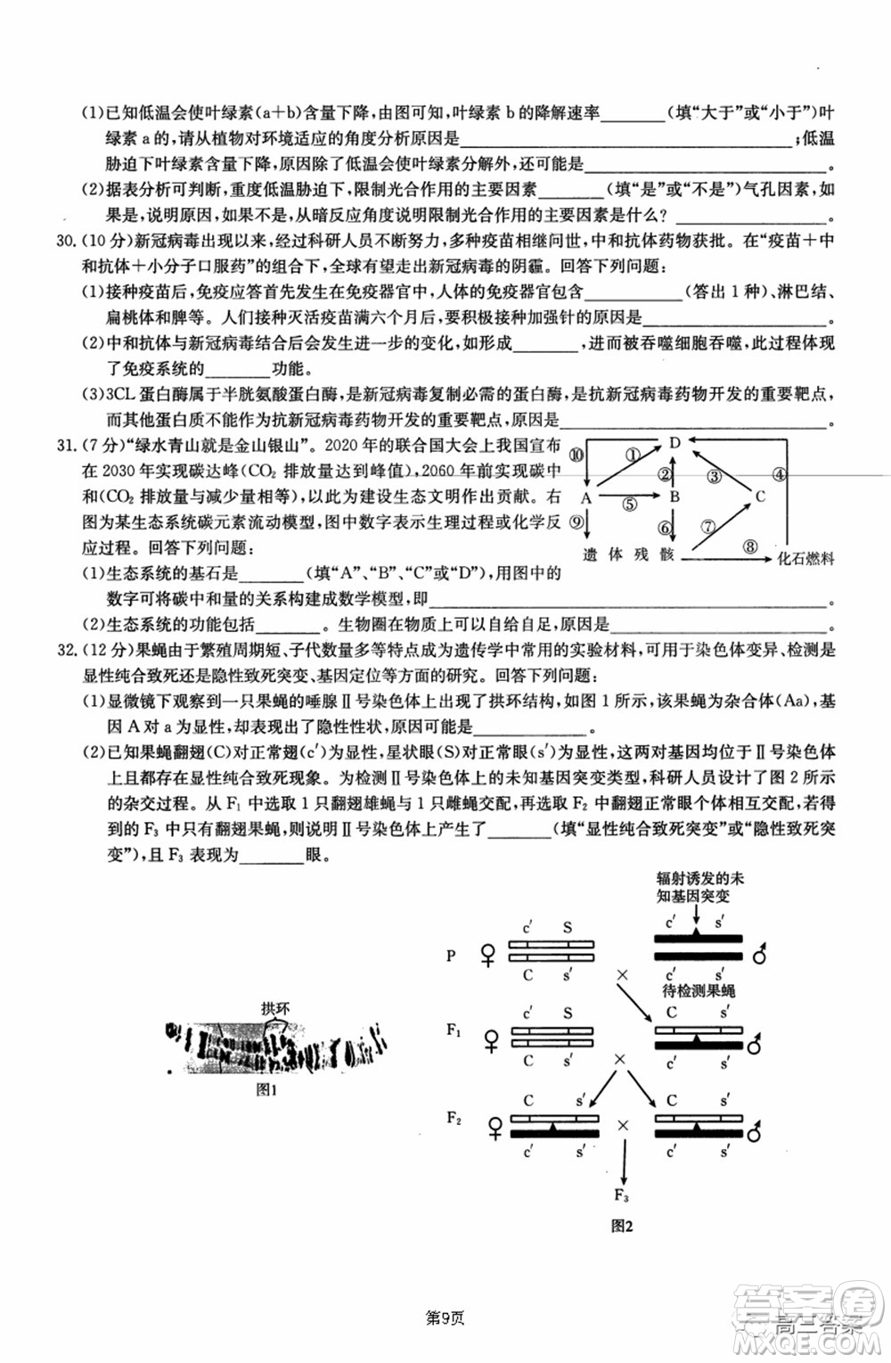 2021-2022年昌吉學(xué)聯(lián)體第三次高三年級高考適應(yīng)性考試?yán)砜凭C合試題及答案